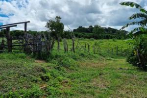 VENDO EXCELENTE  SITIO EM BANDEIRA DO SUL