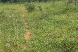 VENDO EXCELENTE CHACARA NA PONTE DO RIO VERDE/ PROXIMO A CALDAS MG